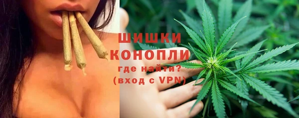 прущие крисы Богданович