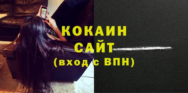 ешки Бронницы