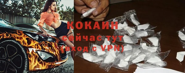 ешки Бронницы
