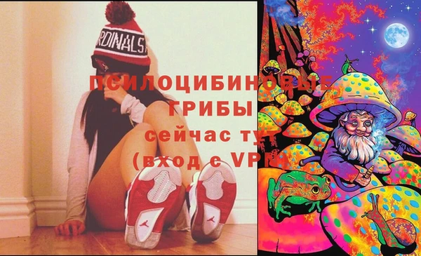 соль ск Бугульма