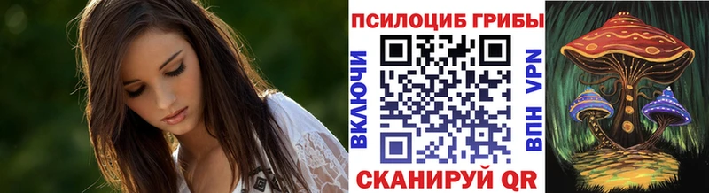 Галлюциногенные грибы Psilocybe  купить   Горячий Ключ 