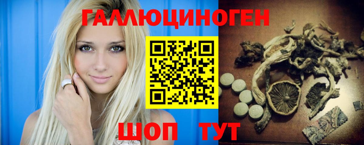 Галлюциногенные грибы мицелий  Псилоцибиновые грибы прущие грибы  Горячий Ключ  Вход с VPN 